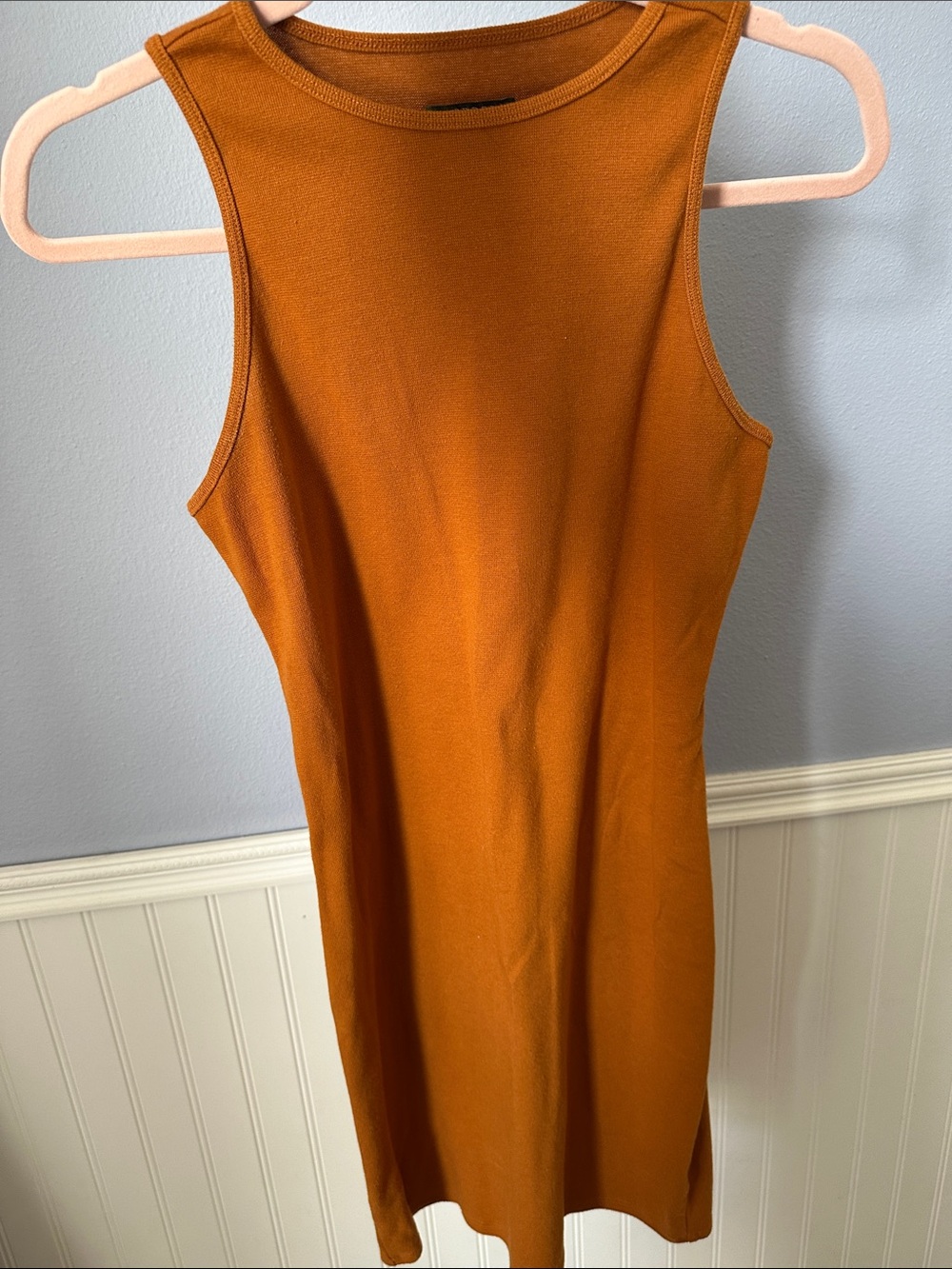 wild fable Sleeveless Rust-Orange Mini Dress
